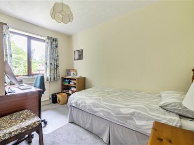 Picture 8
